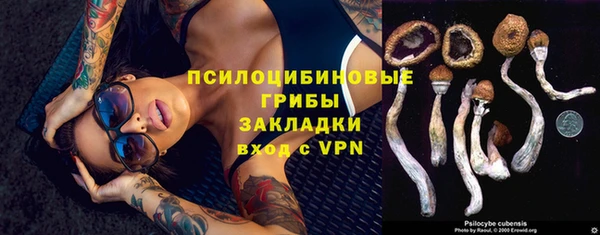 кокаин премиум Богородицк